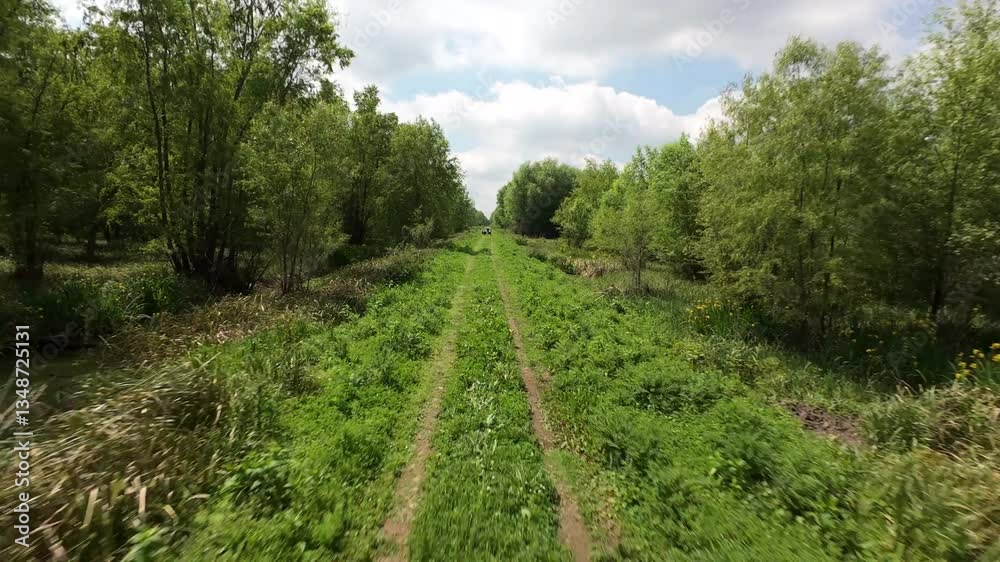 Lush green vegetation envelops a straight dirt road winding through a tranquil rural landscape, with a car driving in the distance beneath a cloudy sky, creating a serene atmosphere, FPV drone shot Lush green vegetation envelops a straight dirt road winding through a tranquil rural landscape, with a car driving in the distance beneath a cloudy sky, creating a serene atmosphere, FPV drone shot