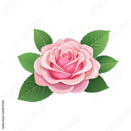 rose flower image vector,rose design,rose with pink color vector design