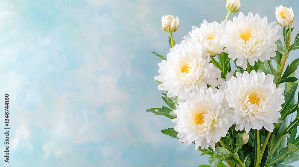 Obraz premium Spring flower flora arrangement nature background bouquet inspiration bright environment