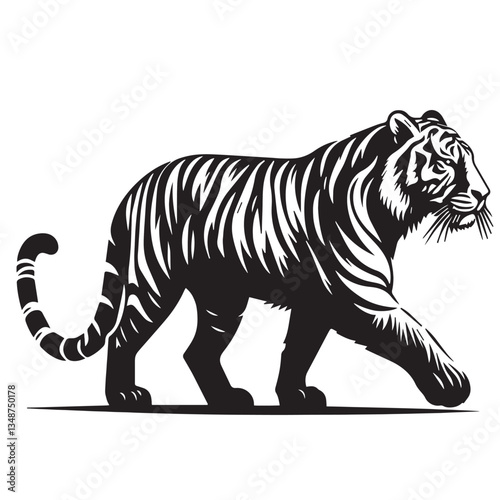 Set of big tigers. Collection of portraits of predatory wild cats. Set of wildlife and fauna dwellers. Vector illustration on a white background. Tattoo, Tigers - wild animals, vector design of tigers