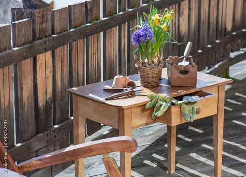 flowers potted daffodils and hyacinth with gardening tools on a wooden table ...