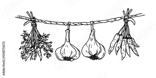 kitchen herbs and spices hanging on string black vector in hand made isolated design on white background