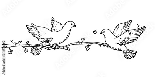 love doves and hearts sketch vector traditional hand made doodle design