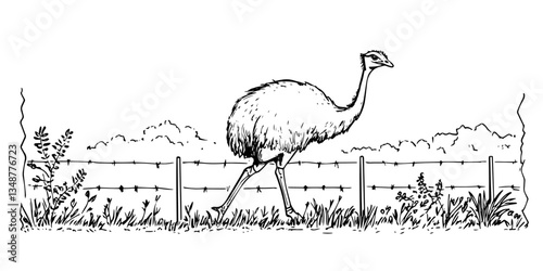 emu in farm enclosure traditional doodle sketch hand made design vector