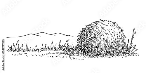 haystack in the field retro ink sketch monochrome isolated vector