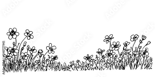 flower meadow vector doodle ink sketch