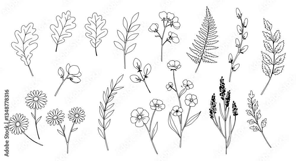 Fototapeta premium Botanical Black Line Collection: A delicate assortment of hand-drawn botanical illustrations featuring an array of leaves, branches, and flowers.
