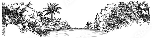 tropical jungle path with palm trees vector sketch illustration in ink doodle style hand drawing for engraving