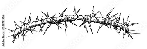 thorny branch with sharp spikes vector doodle sketch engraving