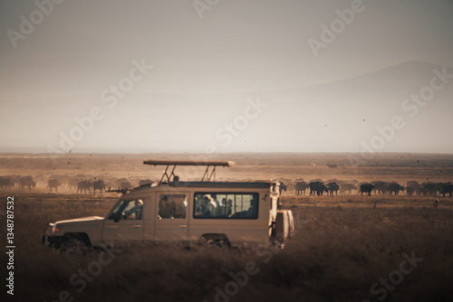 Tourists enjoying a safari trip are observing a herd of wildebeest migrating in the ngorongoro crater, tanzania