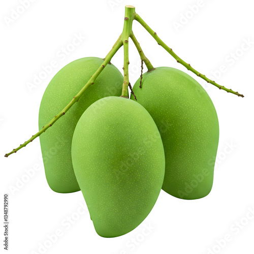 A bunch of green mangoes hanging freely on a white background.