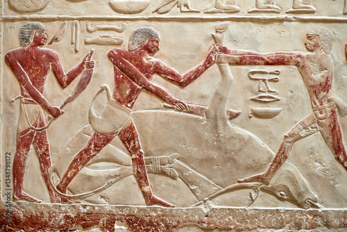 Three men performing ritual sacrifice of a bound calf, V Dynasty mastaba of princess Idut, Saqqara, Egypt	
