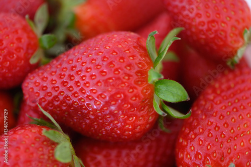 Freshly harvested strawberries glimmering under warm sunlight in a vibrant summer field