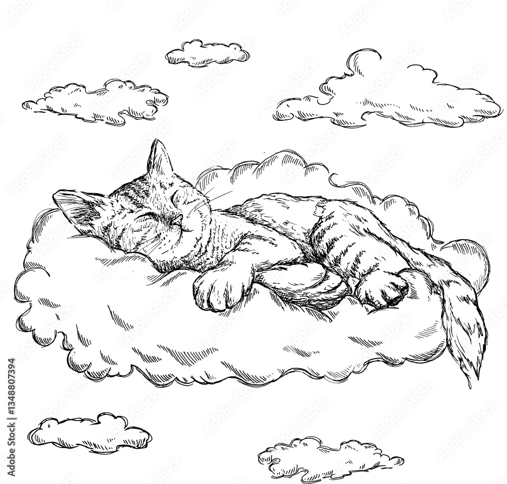 Cat on a cloud Cat on a cloud