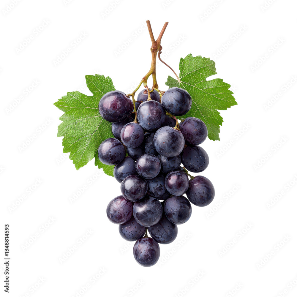 Fototapeta premium A bunch of fresh black grapes with leaves on a transparent background. Concept of fruit, food, and healthy eating.