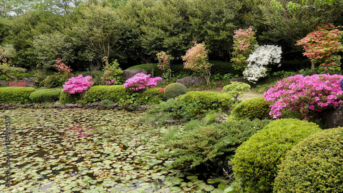 A green lotus pond with pathway around it in Camellia Hill Botanical Garden in Jeju Island, South Korea