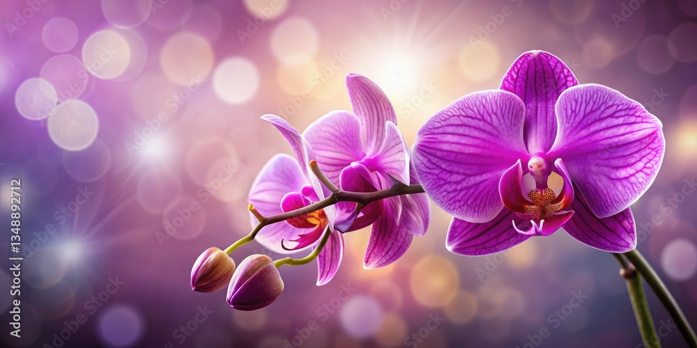 Fototapeta premium Stunning orchid photography showcasing vibrant colors and exotic species, ideal as wallpaper.