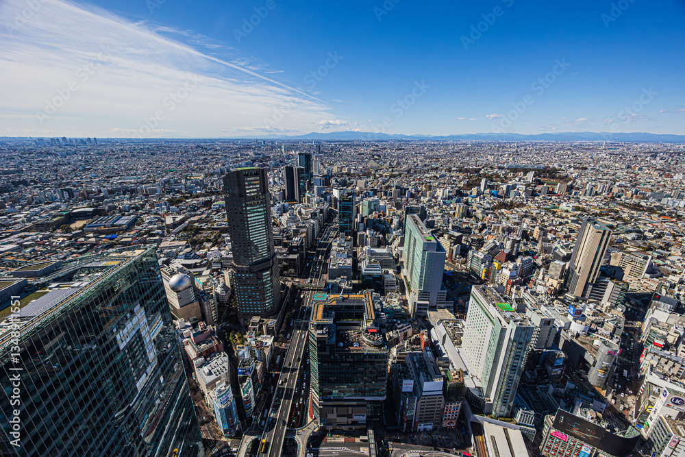 Naklejka premium 都市景観