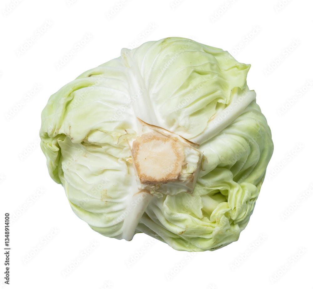 Fototapeta premium top view of cabbage isolated on white background
