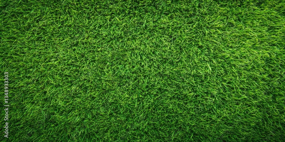 Obraz premium A vibrant, lush green grass field under bright sunlight, creating a serene outdoor atmosphere, ideal for recreational activities and nature photography