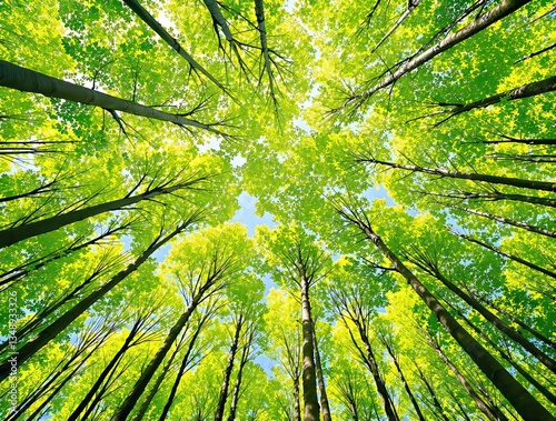 Tall trees with lush green foliage reaching towards the sky, forming a vibrant forest canopy. Bright sunlight filters through leaves, creating a peaceful nature background. Ai generative