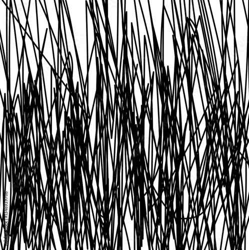 The dense texture consists of vertical, intricate lines.