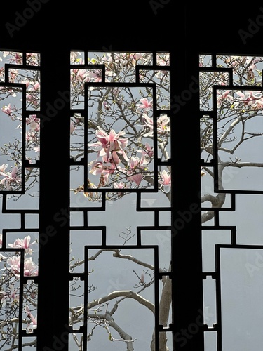 Canvas Print Chinese tree blooming