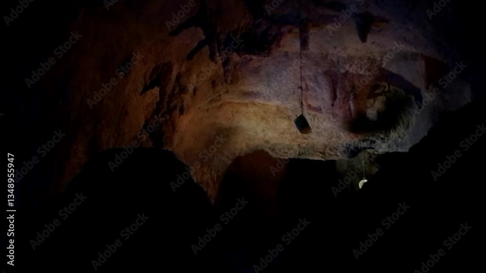 Cave with bats hanging from the ceiling. The bats are in various positions and sizes. The cave is dark and the bats are illuminated by a light source