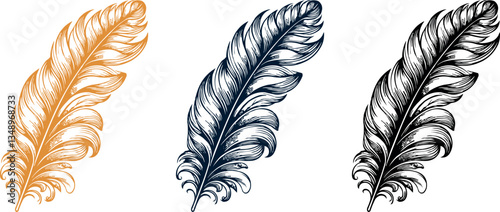 Vintage Ornate Feather Illustration, Elegant Quill Pen Drawing
