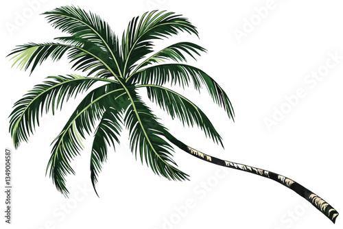 37 tropical palm tree, isolated on white background, vibrant green fronds, curved trunk, photorealistic, high detail, botanical illustration, clear background, single tree, coconut palm, lush foliage,