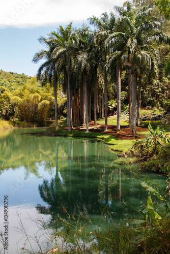 Obraz na płótnie Palm trees, the tropical forest at the shore of the lake, Inhotim, Minas Gerais, Brazil. w salonie