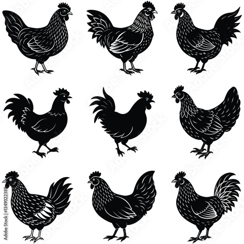 Set of Hen Silhouettes in Black on White Background