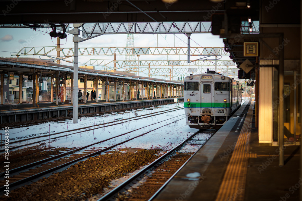 Naklejka premium Japan's railway passenger transport system and railway platforms