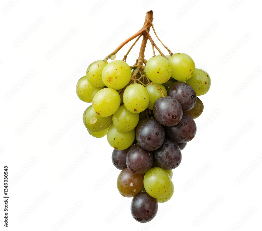 Hanging Bunch of Fresh Green and Red Grapes on White Background