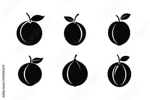 Nutmeg – Myristica fragrans silhouette vector illustration