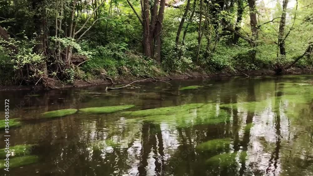 River with green plants growing on the bank River with green plants growing on the bank