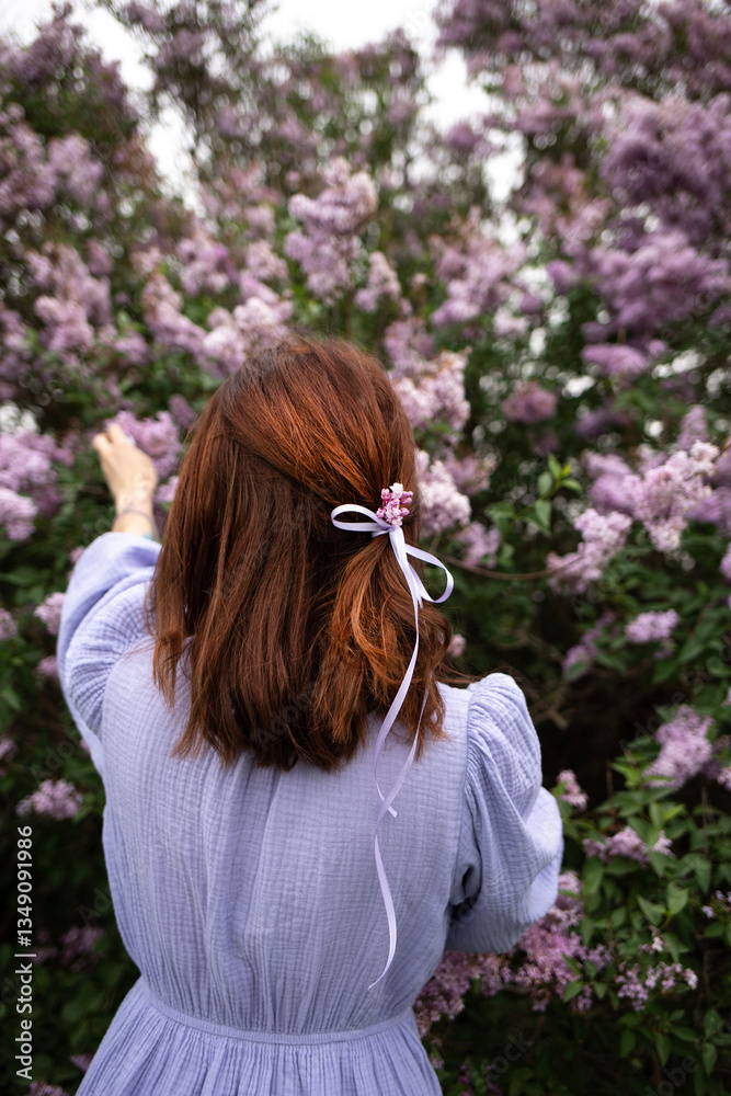 Naklejka premium A young woman plucks flowers from a huge lilac bush while standing with her back to the camera.