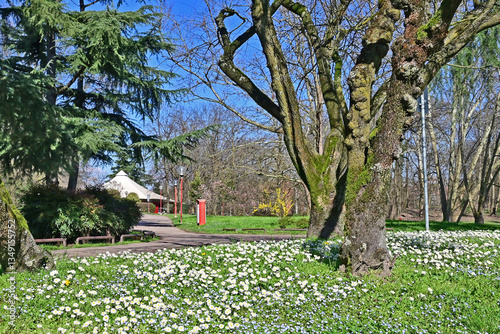 Primavera a Basiglio, gemme, fiori, piante a Milano 3 - Lombardia