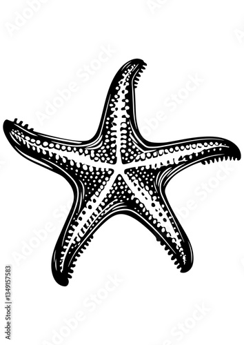 Black and white vector illustration of a starfish, marine star, ocean life, sea wildlife. Perfect for engraving, laser cutting, tattoo idea, logo, line art, vector sketch.