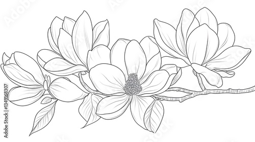 Detailed Anti-Stress Coloring Page with Bouquet of Magnolias for Relaxation Therapy