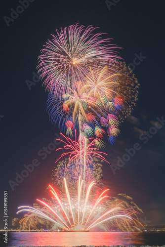 fireworks in the sky