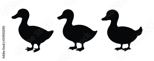 Duck Silhouette Illustration of a Domestic Waterfowl Standing on Land