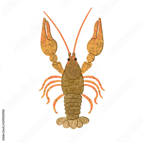 Vector Colorful Illustration of Crayfish Isolated on White Background