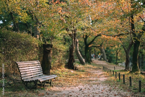 bench in autumn park