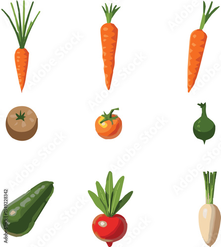 all kinds of vegetable vector