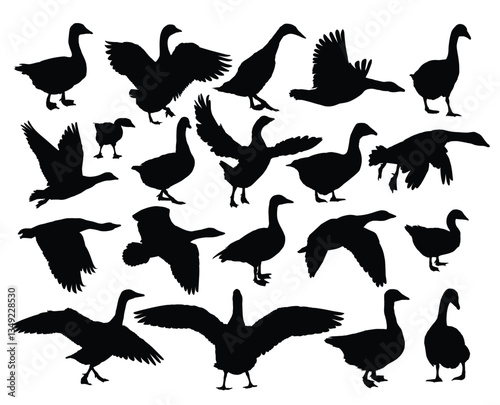 The set silhouettes of geese.
