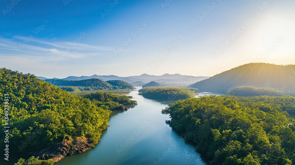 Obraz premium Aerial view of a wide river flanked by mangrove forests, with low flat mountains, green vegetation, rocks, clear sky and water reflecting in a charming, tranquil natural landscape.