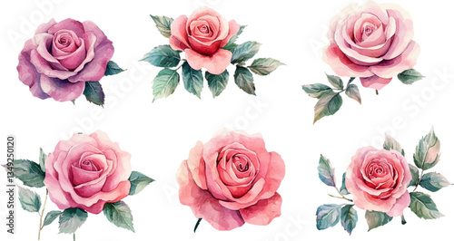 bouquet of roses