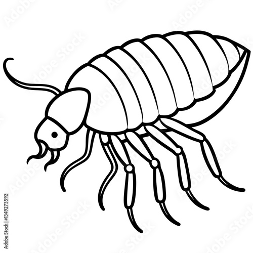 Detailed Insect Illustration: A meticulously drawn illustration showcasing an insect. Its segmented body, antennae, and intricate legs reveal the artist's careful attention to detail.