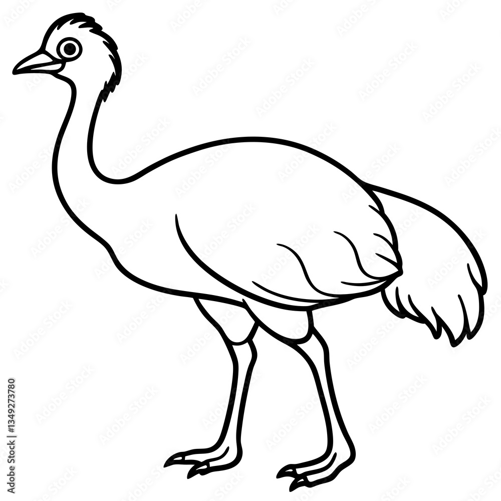 Emu Illustration: A simple, clean black and white illustration of an emu, showcasing the bird's unique features. 